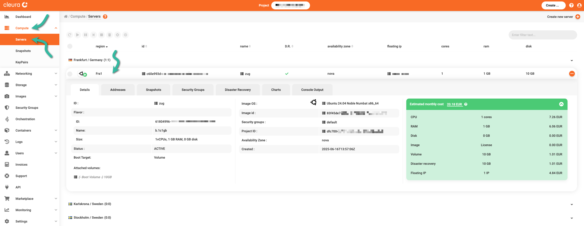 View server details