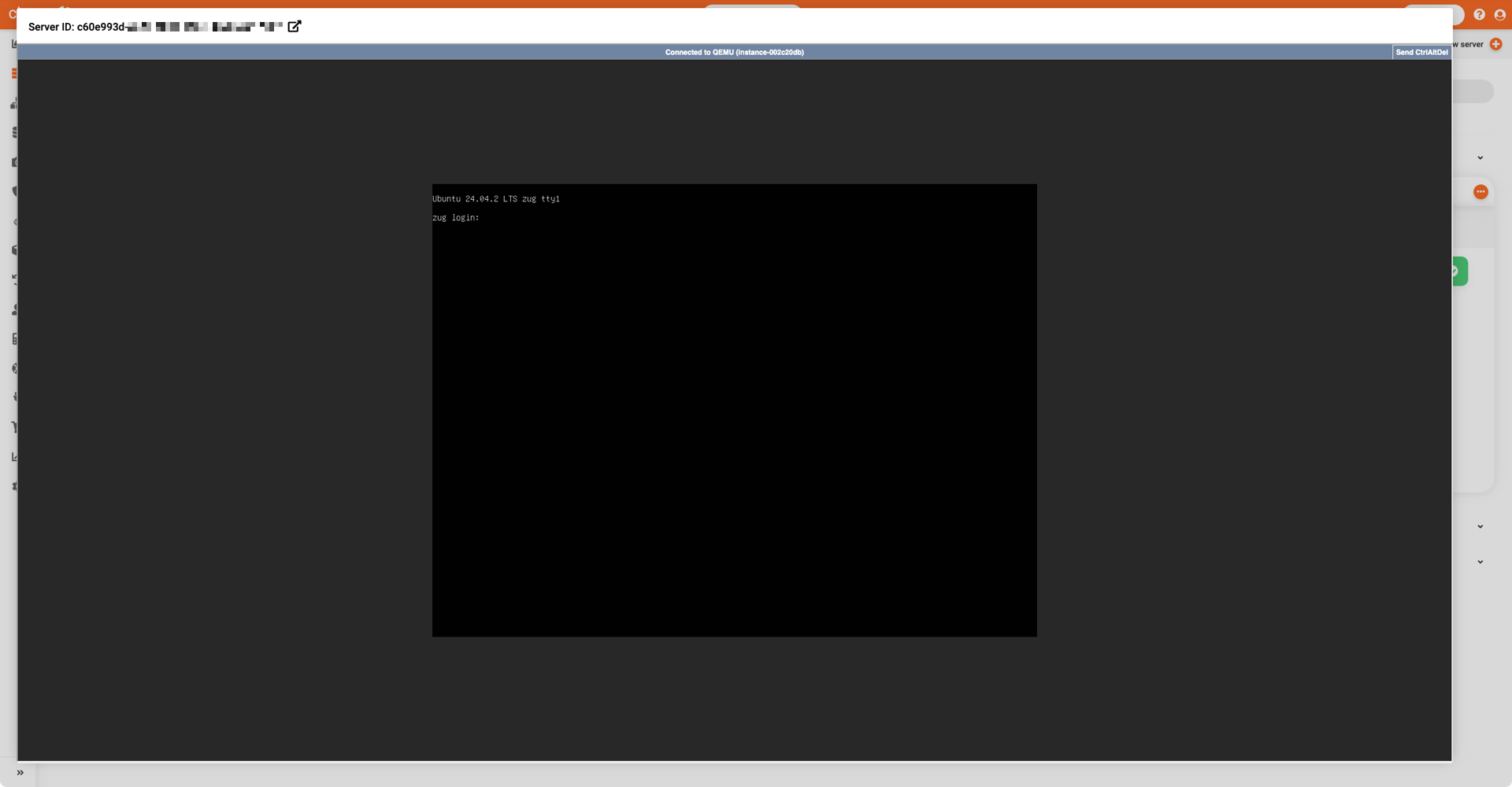 View and use server console